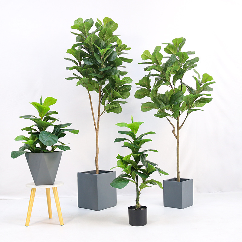ต้นไม้ประดิษฐ์ในกระถางพลาสติก  - Ficus Lyrata Tree บทวิจารณ์และราคา