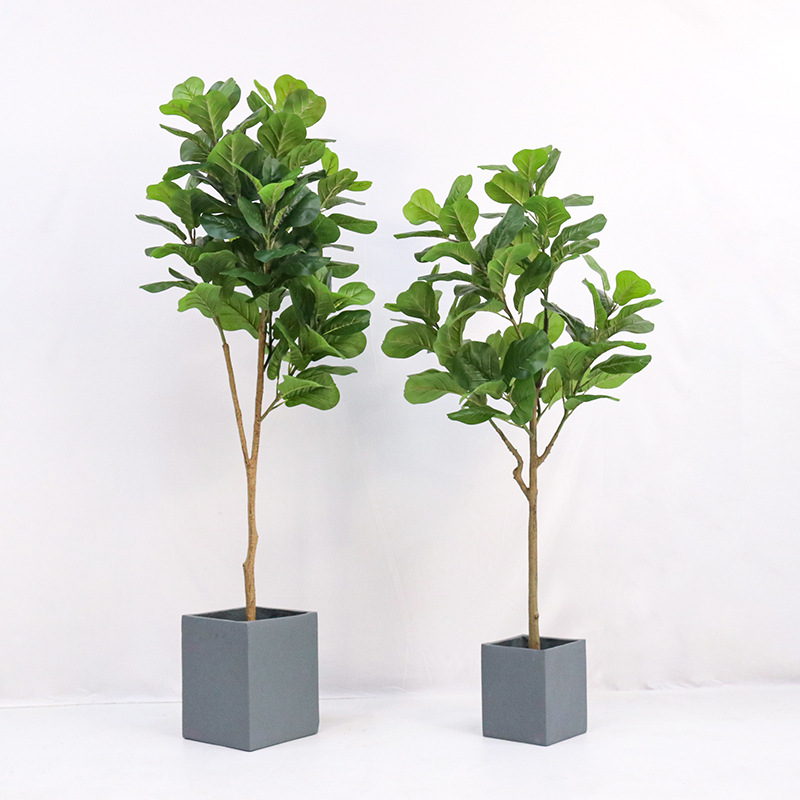 ต้นไม้ประดิษฐ์ในกระถางพลาสติก  - Ficus Lyrata Tree บทวิจารณ์และราคา