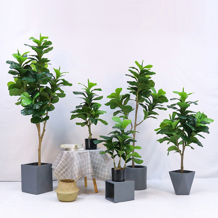 ต้นไม้ประดิษฐ์ในกระถางพลาสติก  - Ficus Lyrata Tree บทวิจารณ์และราคา