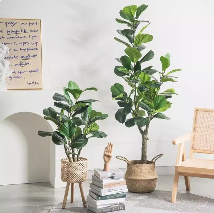 ต้นไม้ประดิษฐ์ในกระถางพลาสติก  - Ficus Lyrata Tree บทวิจารณ์และราคา