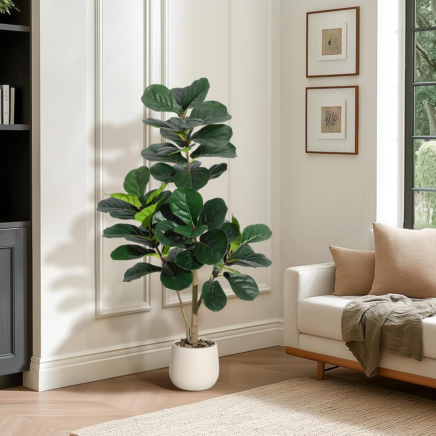 ต้นไทรใบฟิดเดิล ขนาด 4 ฟุต แบบ - Ficus Lyrata Tree บทวิจารณ์และราคา