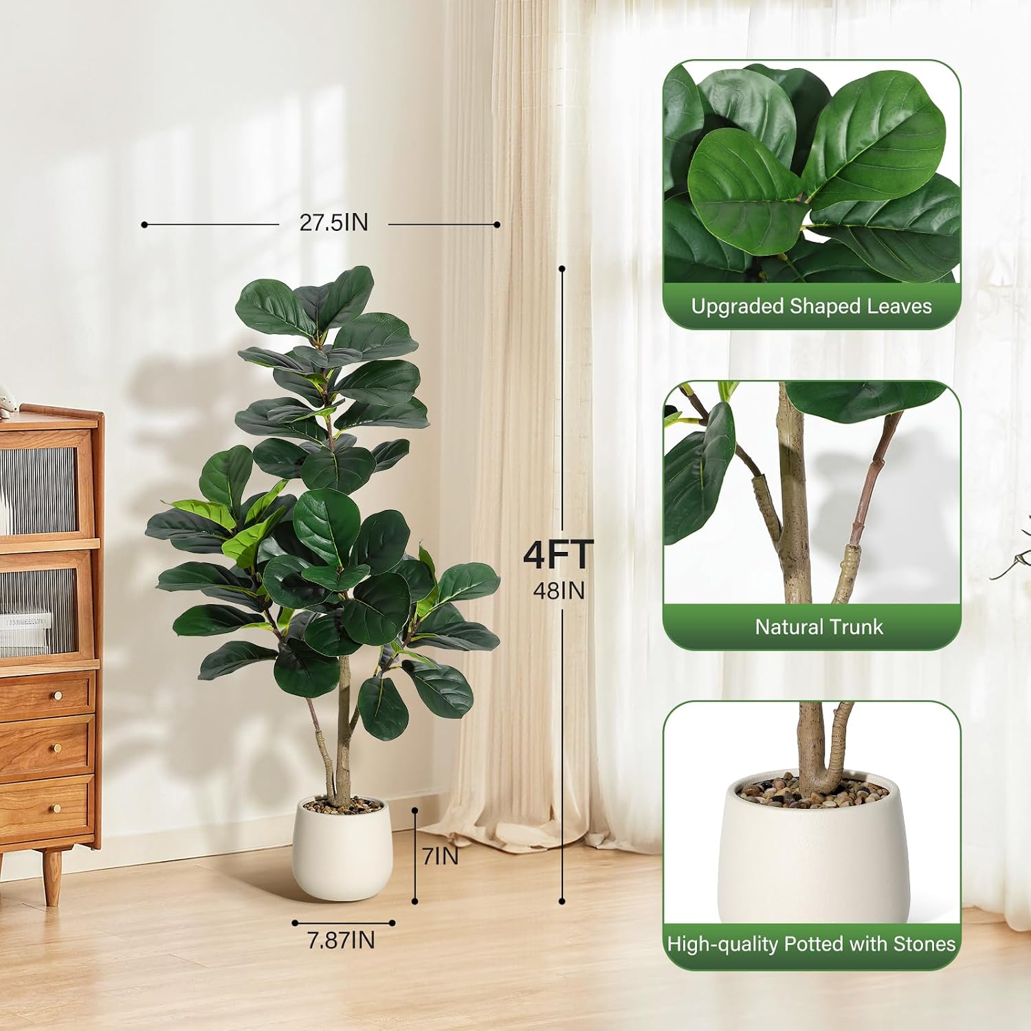 ต้นไทรใบฟิดเดิล ขนาด 4 ฟุต แบบ - Ficus Lyrata Tree บทวิจารณ์และราคา