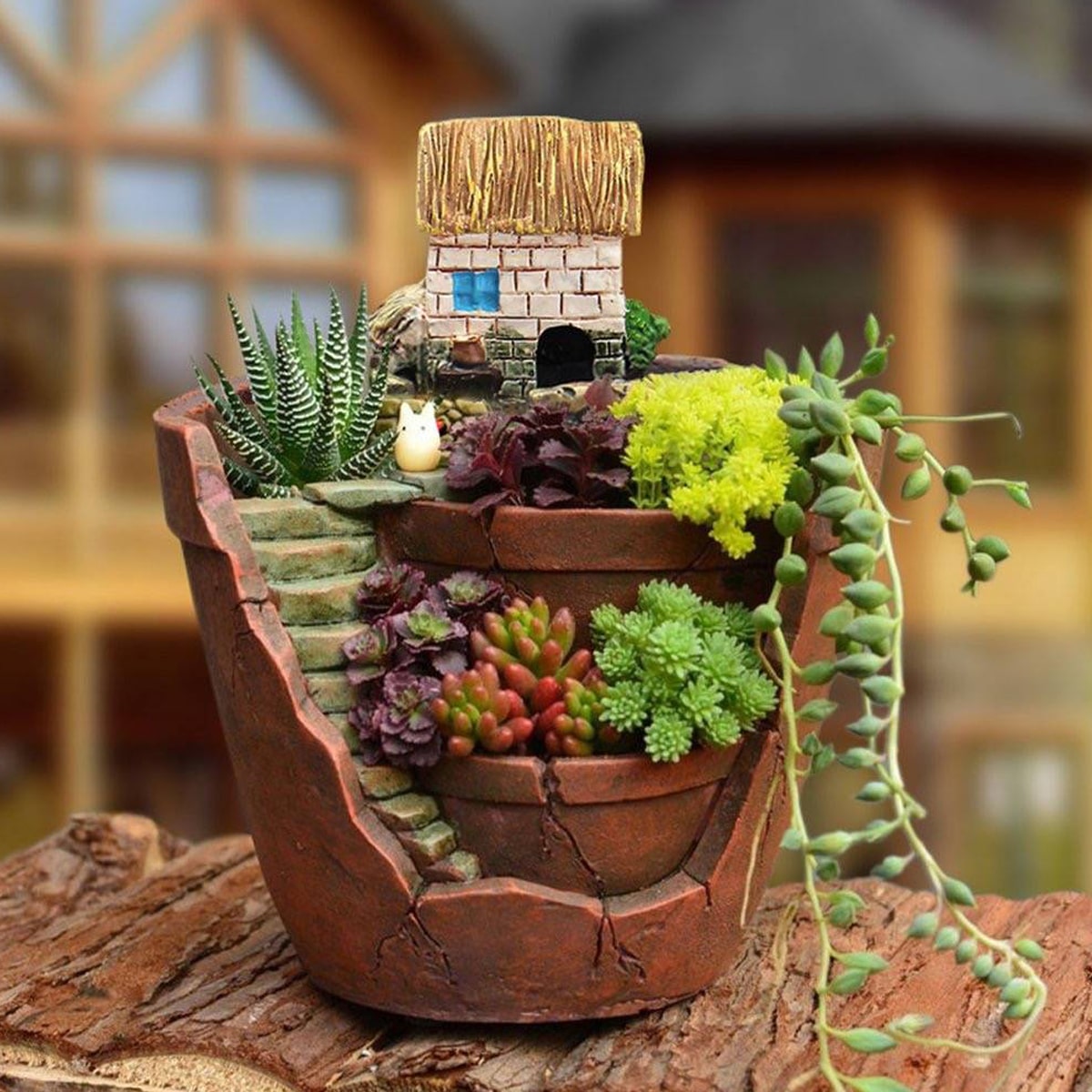 กระถางต้นไม้ทรงกลมสไตล์นอร์ดิก - Echeveria Succulent บทวิจารณ์และราคา